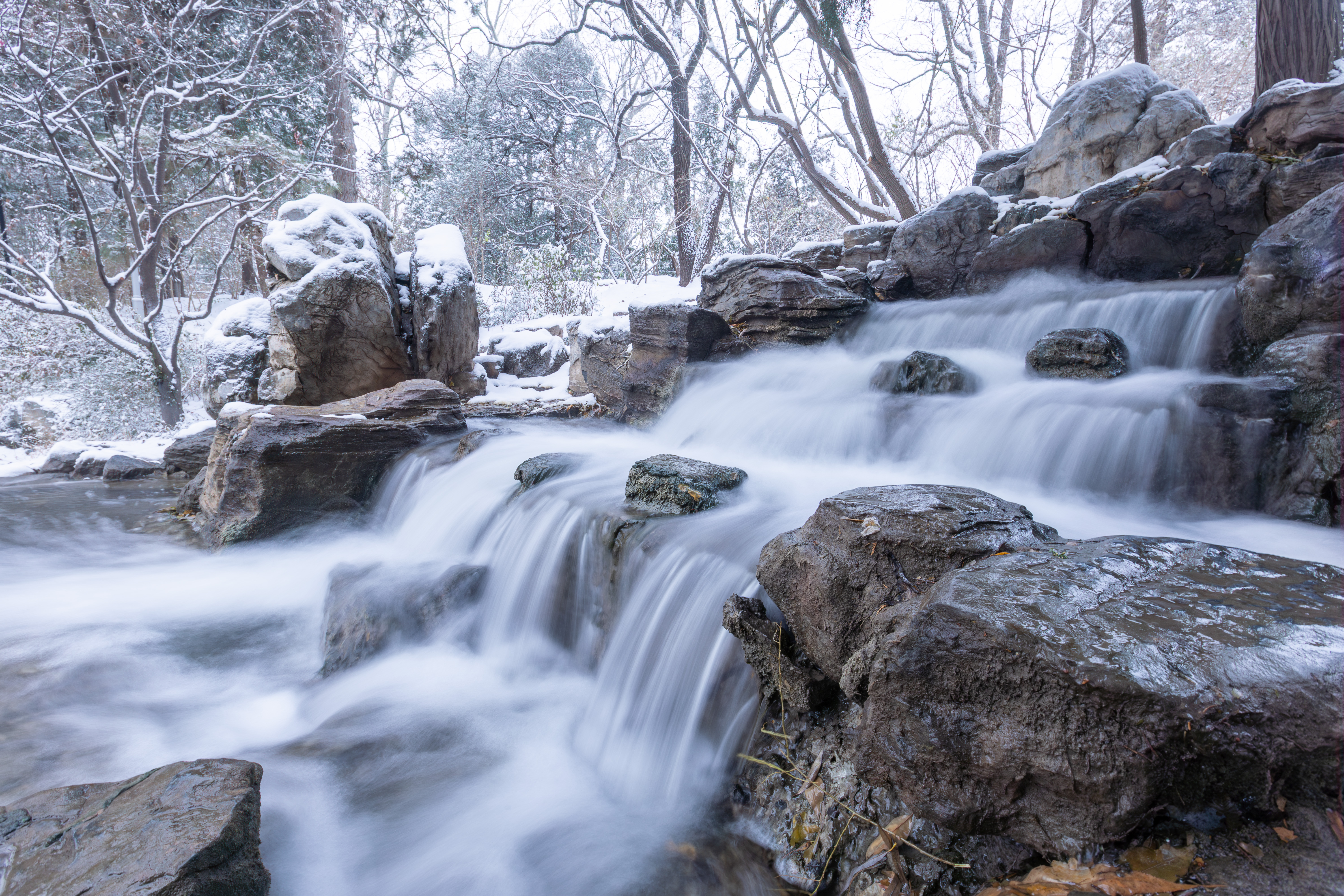 20231211-雪10-Beat365-供图.jpg