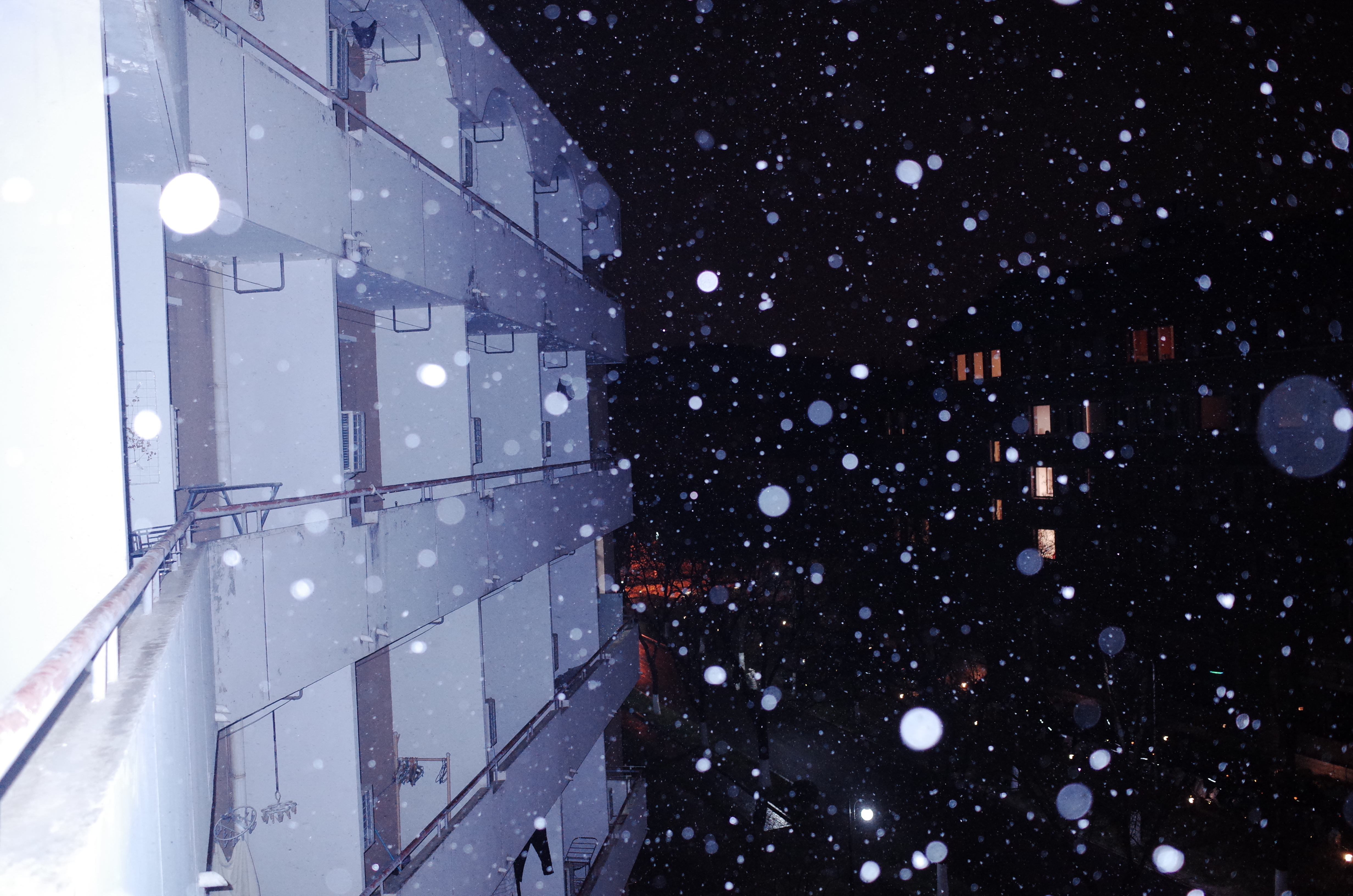 20231211-雪7-Beat365-供图.jpg