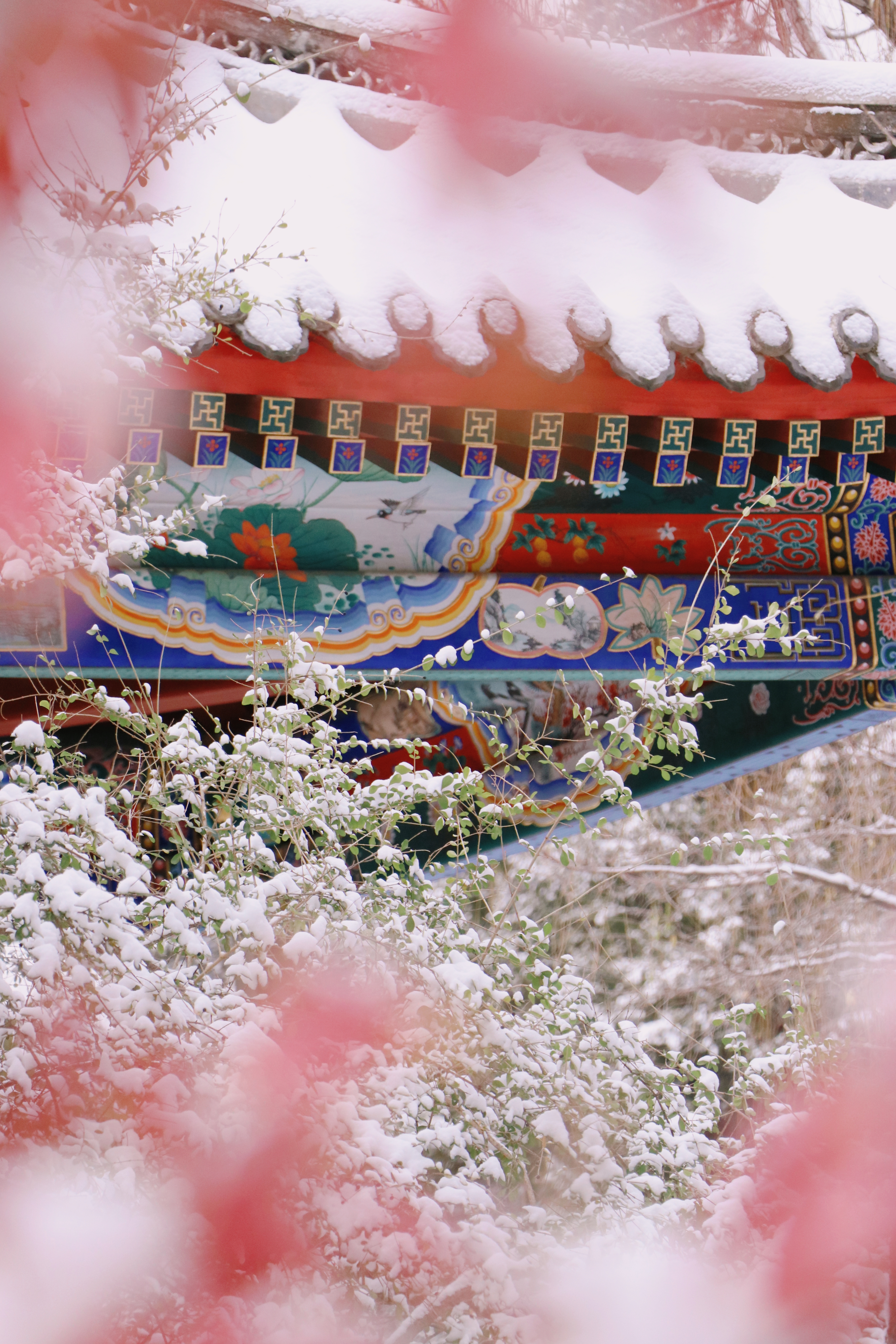 20231211-雪11-Beat365-供图.jpg