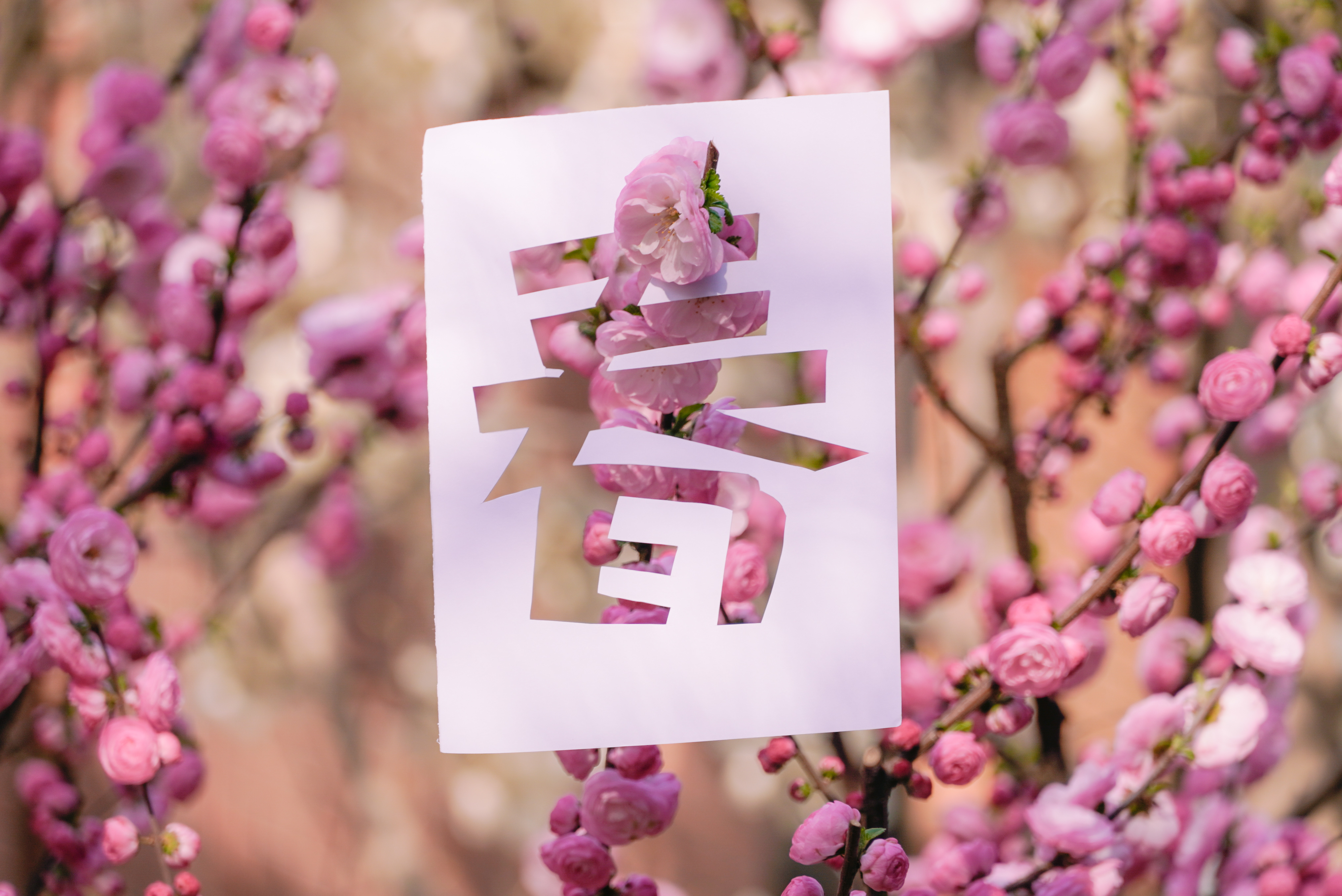 20240401-Beat365四月天-学生摄影-1.jpg