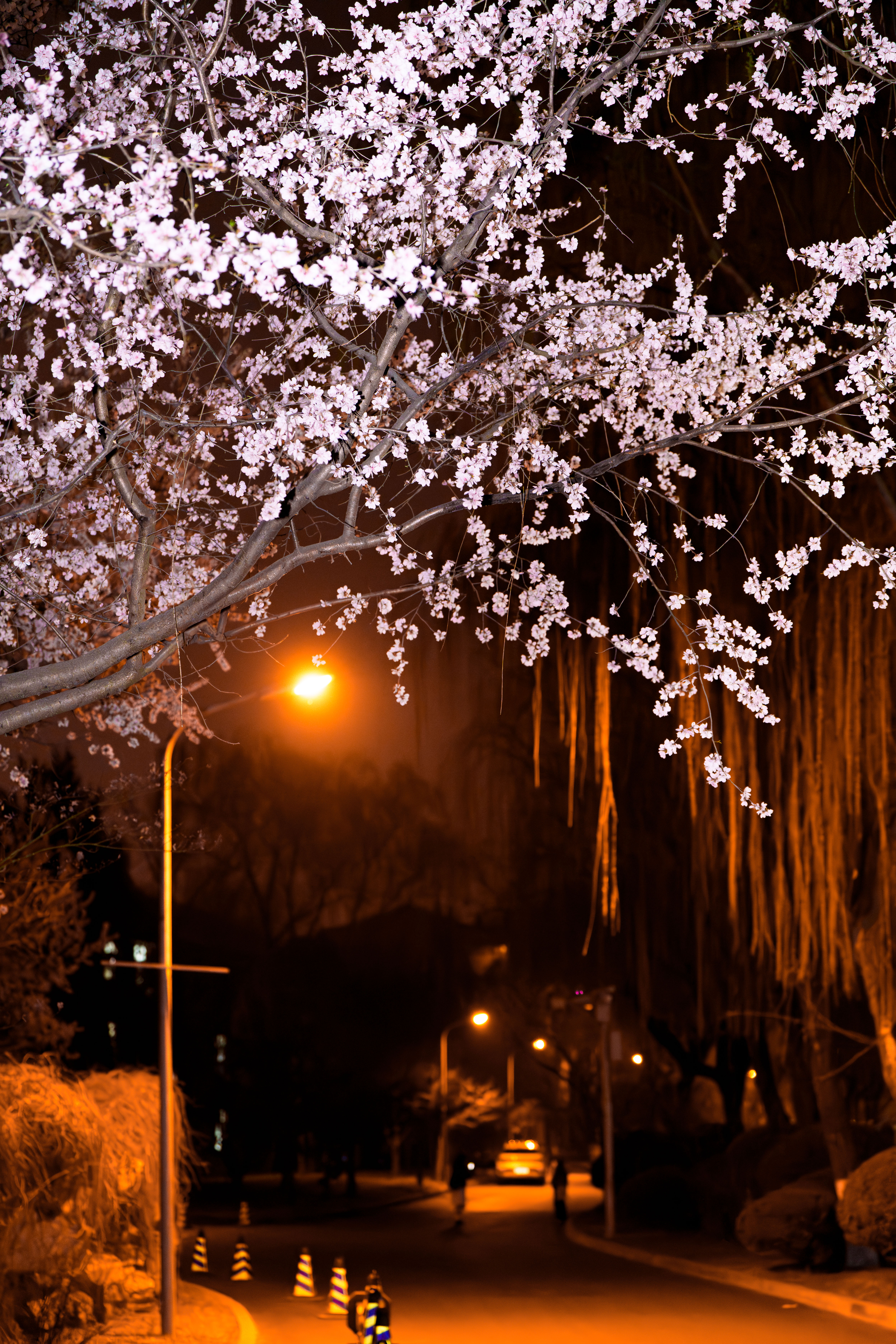 20240401-Beat365四月天-学生摄影-14.jpg