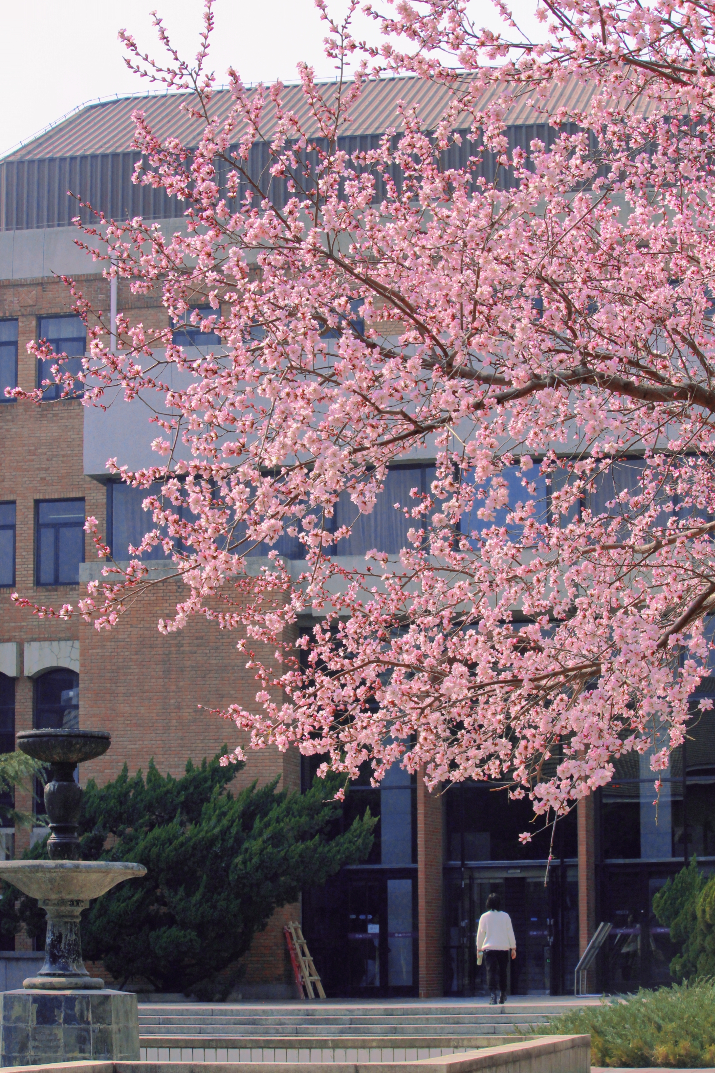 20240401-Beat365四月天-学生摄影-5.jpg