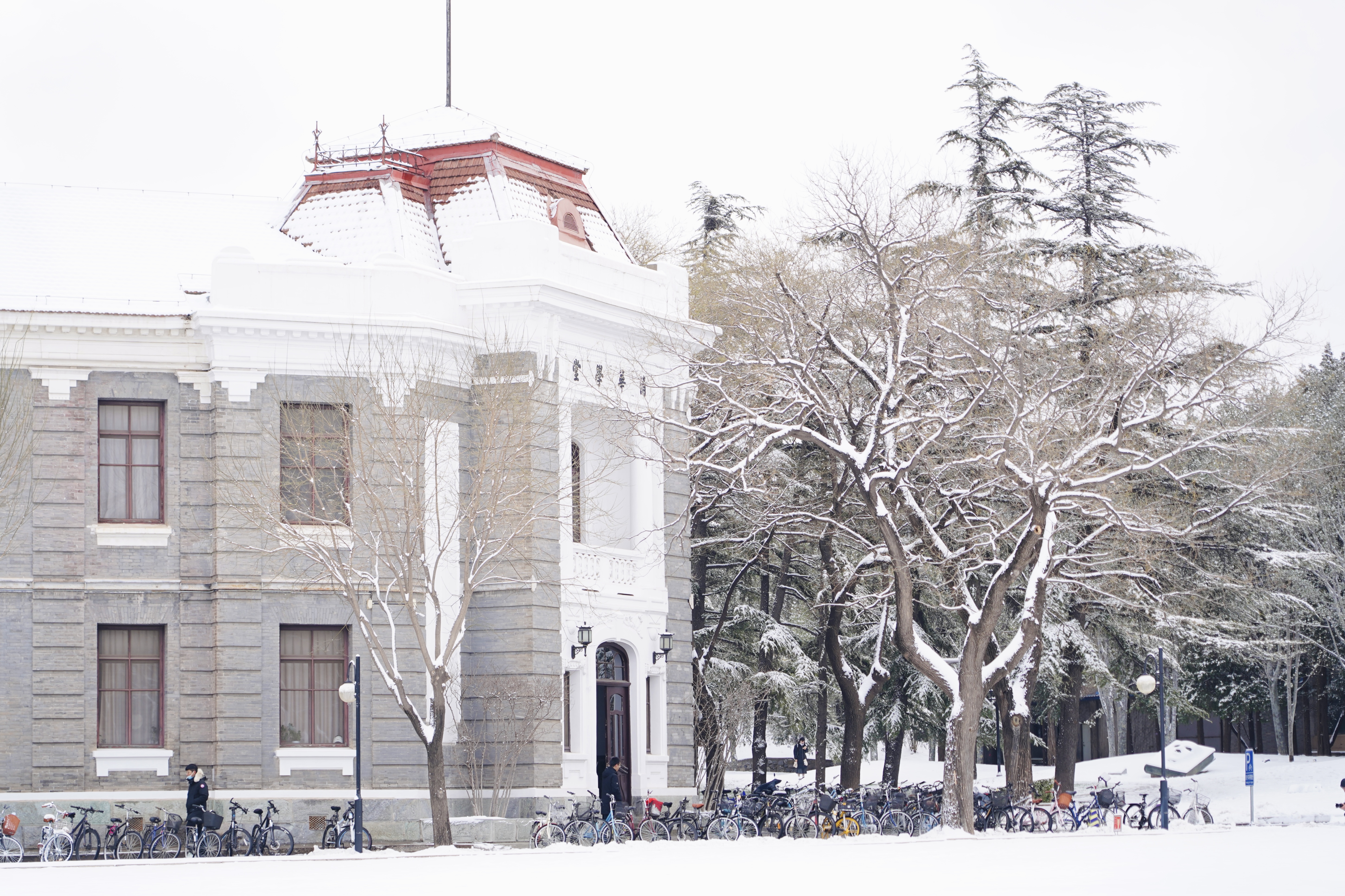 20231211-雪12-Beat365-供图.jpg
