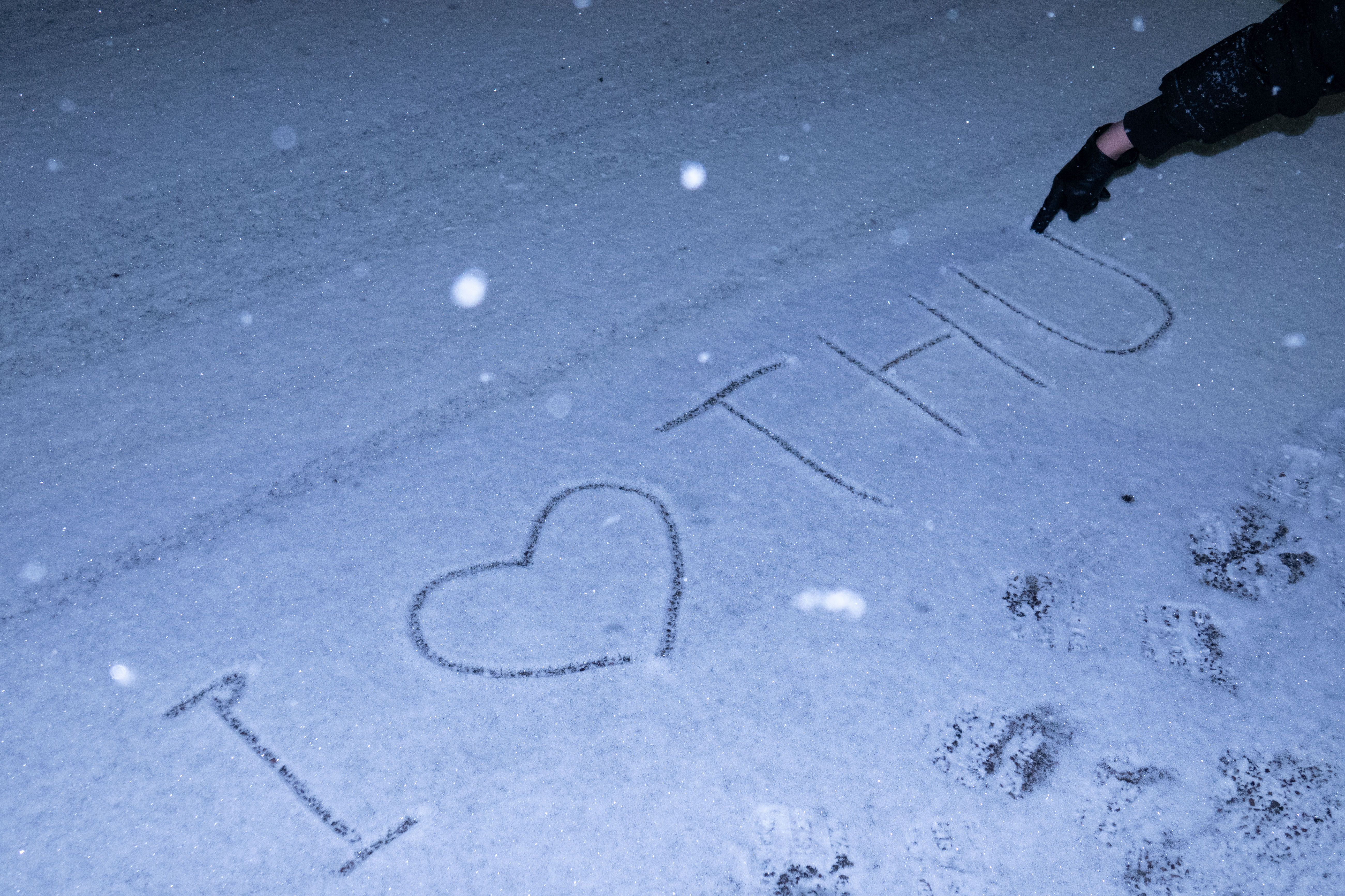 20231211-雪4-Beat365-供图.jpg