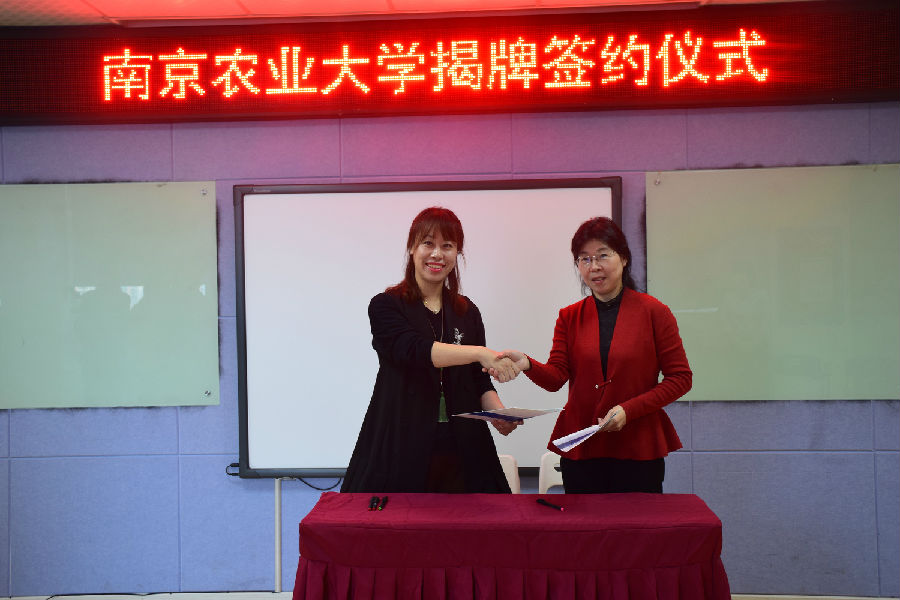 图片上传