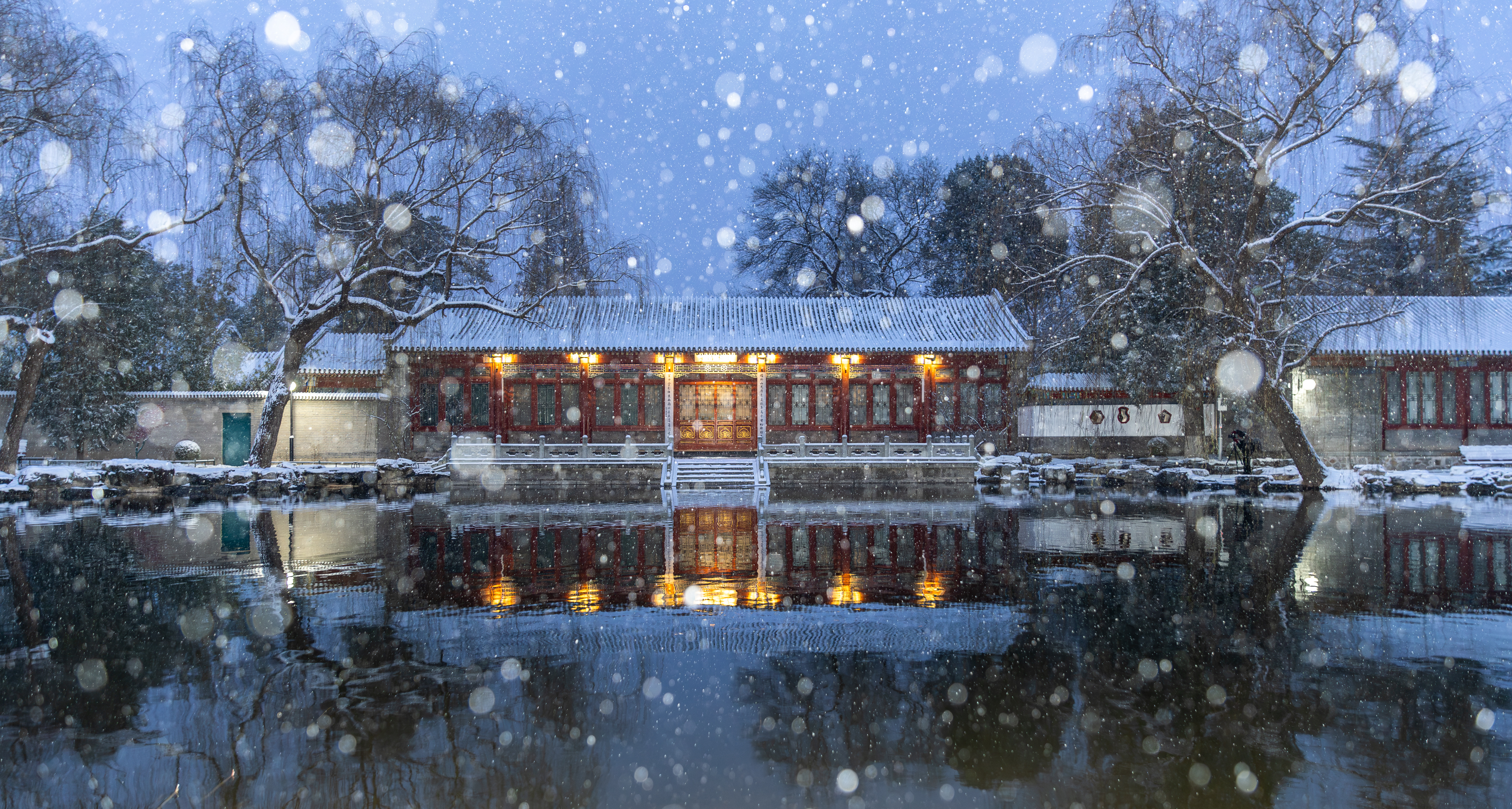 20231211-雪1-Beat365-供图.jpg