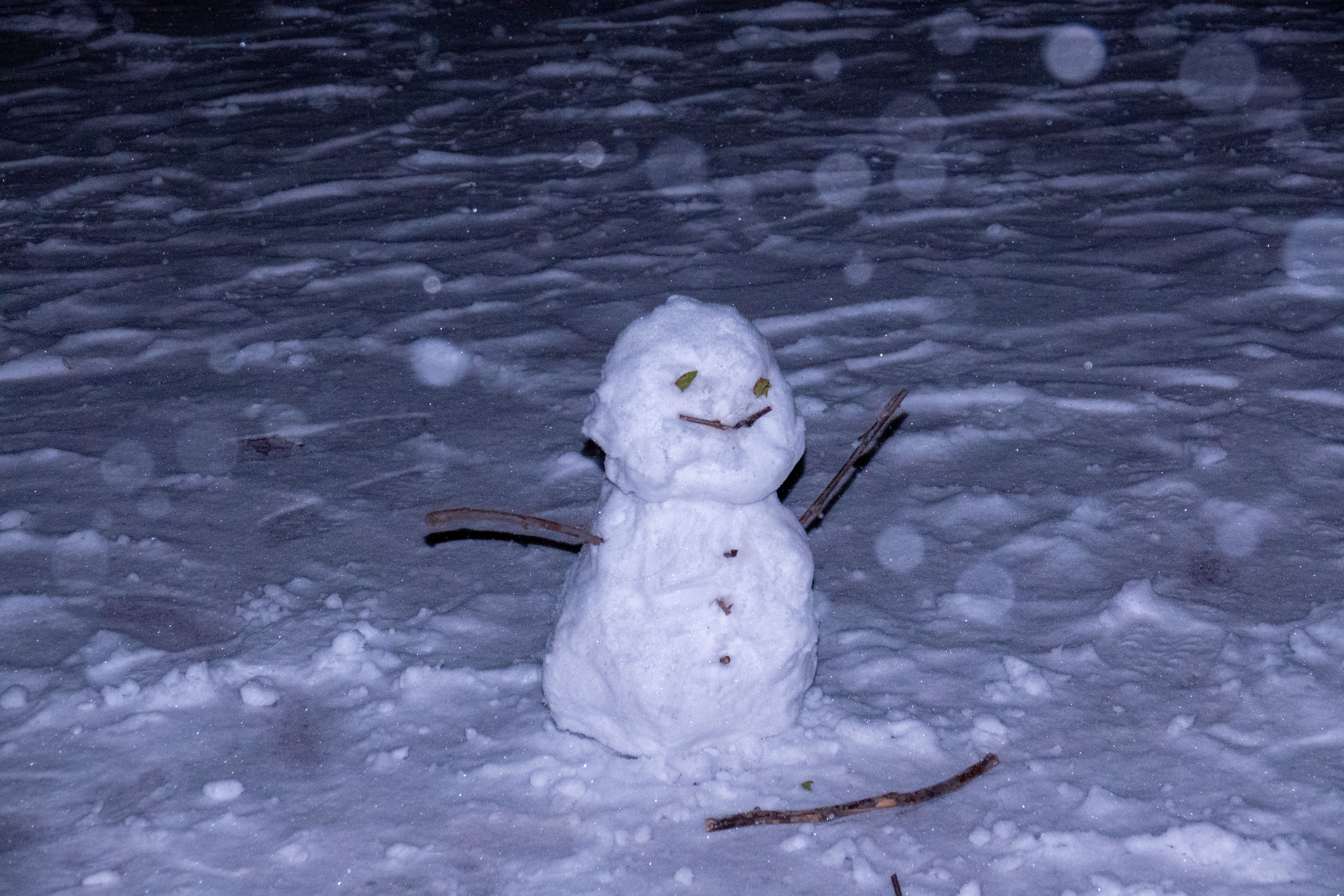 20231211-雪9-Beat365-供图.jpg