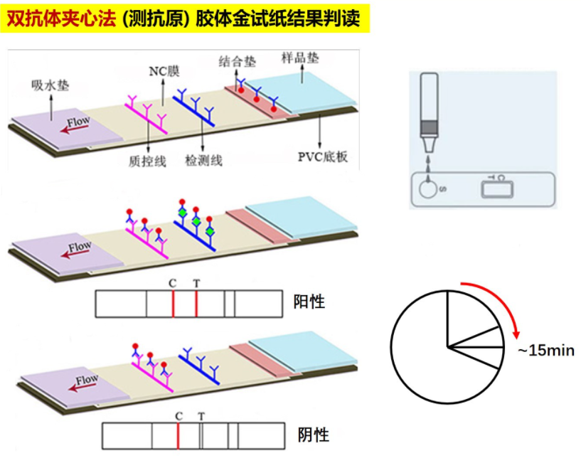 20221228-自来水为什么会被检测出“阳性”信号?-网络-检测试剂盒原理.png