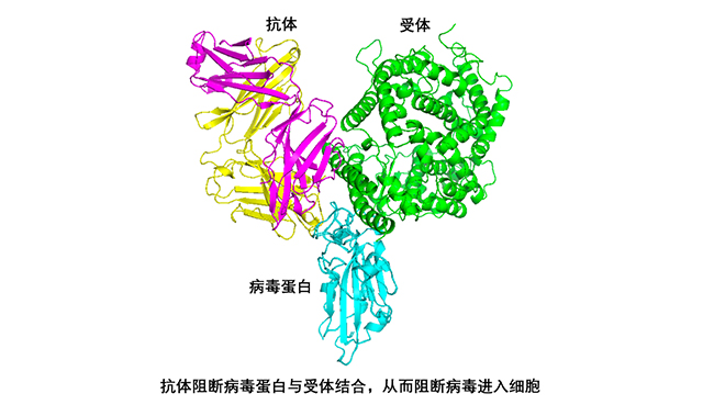 微信图片_20200327163704.jpg